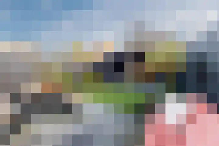 Akkerland 11 Assendelft thumbnail 41