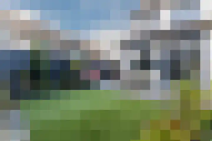 Akkerland 11 Assendelft thumbnail 43