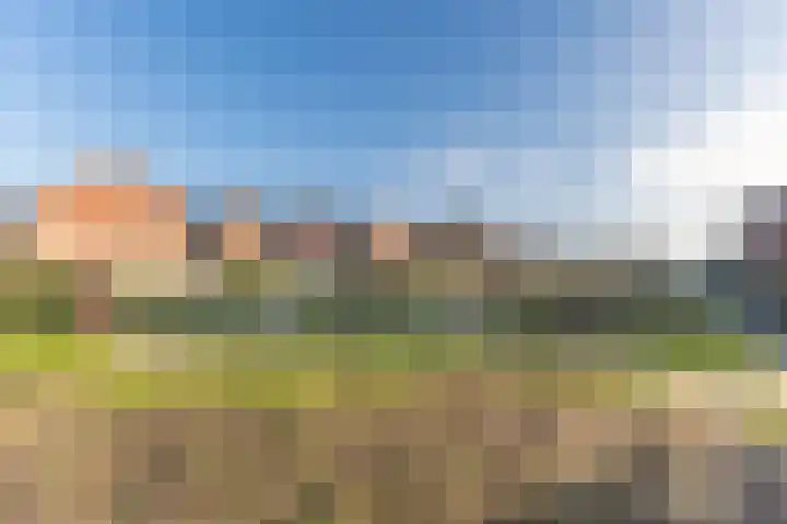 Akkerland 11 Assendelft thumbnail 46