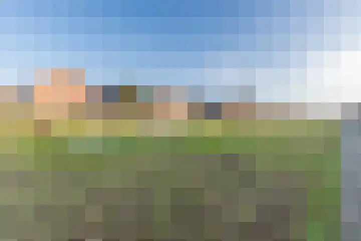 Akkerland 11 Assendelft thumbnail 47