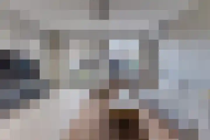 Akkerland 11 Assendelft thumbnail 6