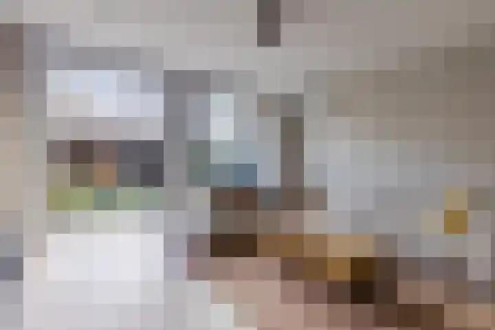 Akkerland 11 Assendelft thumbnail 7