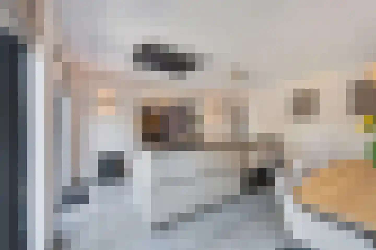 Akkerland 19 Assendelft thumbnail 10