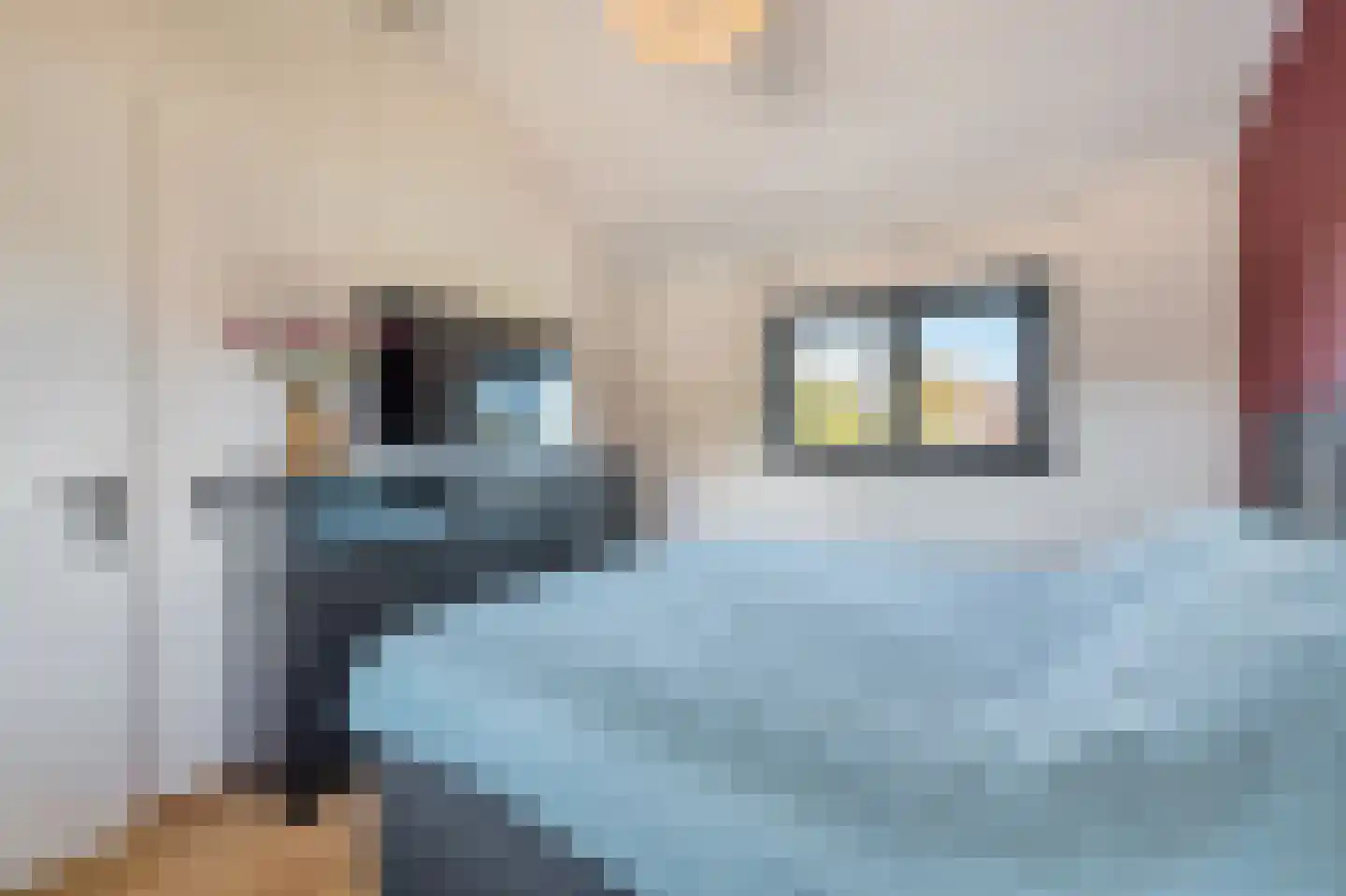 Akkerland 19 Assendelft thumbnail 19