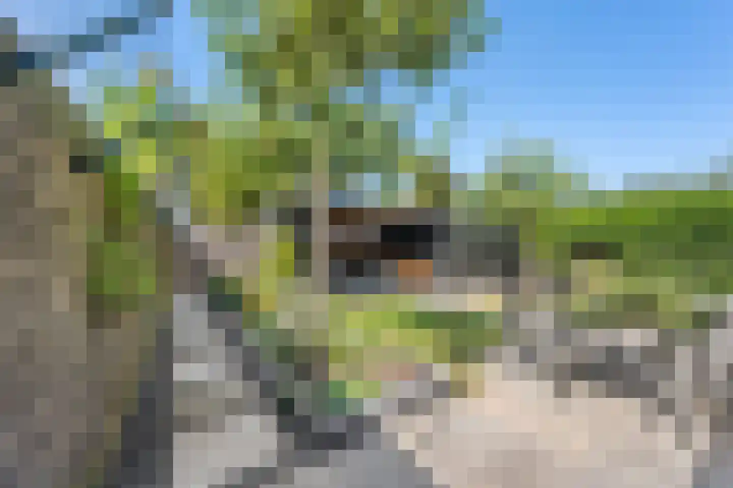 Akkerland 19 Assendelft thumbnail 37