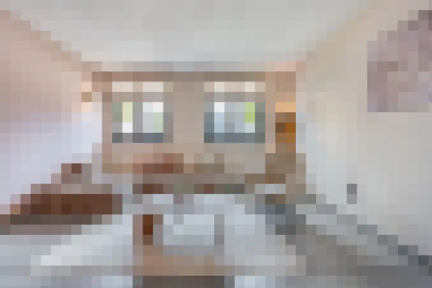 Akkerland 19 Assendelft thumbnail 5