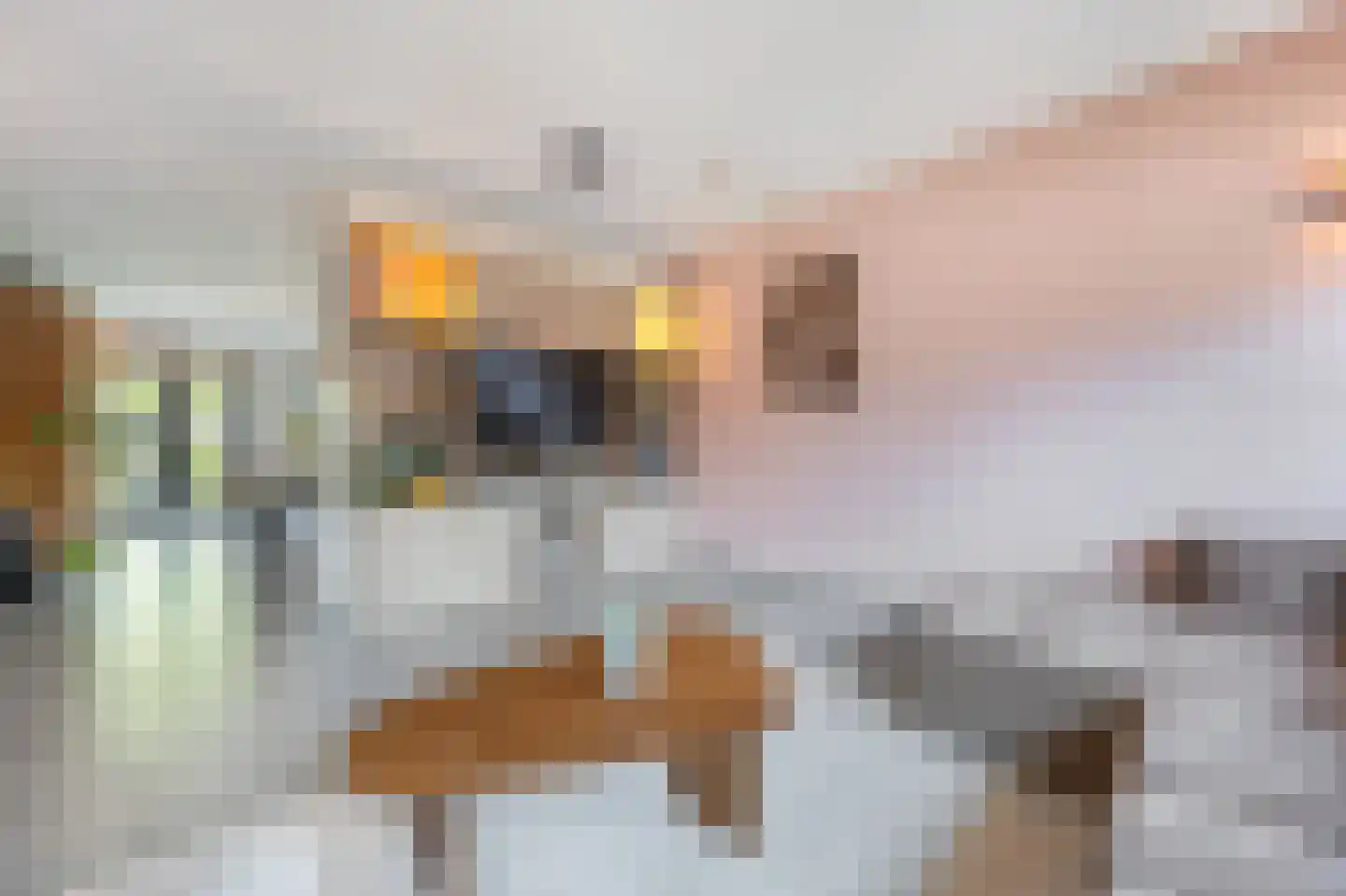 Akkerland 19 Assendelft thumbnail 6