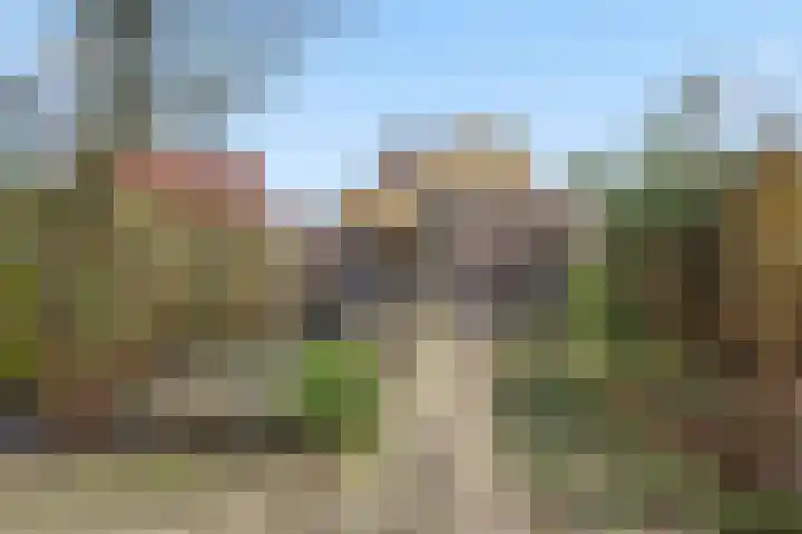 Akkerland 78 Assendelft thumbnail 12