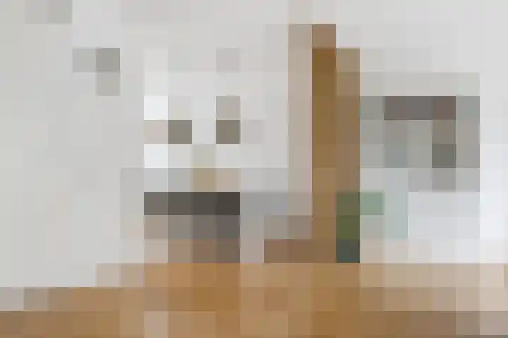 Akkerland 78 Assendelft thumbnail 6