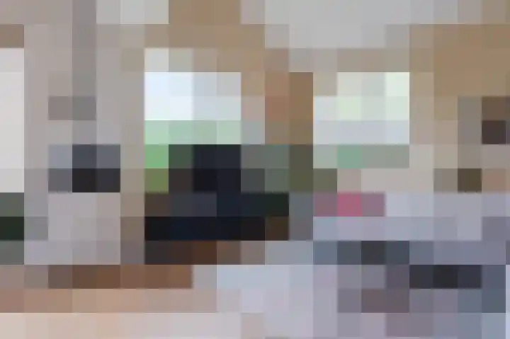 Akkerland 99 Assendelft thumbnail 12