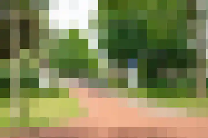 Akkerland 99 Assendelft thumbnail 13