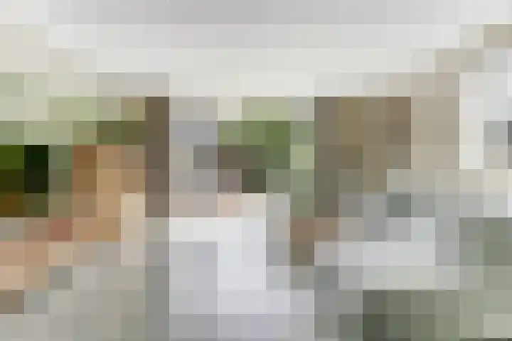 Akkerland 99 Assendelft thumbnail 19