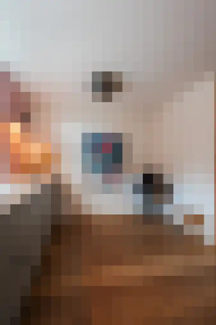 Akkerland 99 Assendelft thumbnail 19