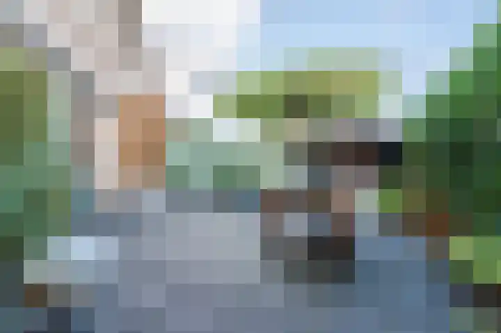 Akkerland 99 Assendelft thumbnail 4