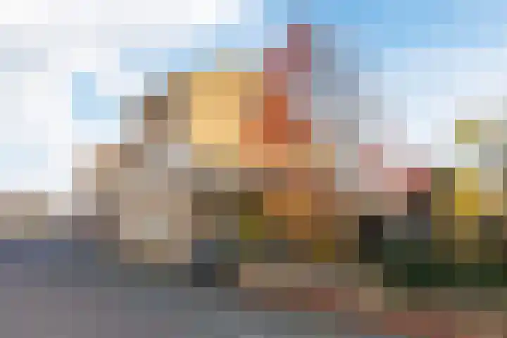 Akkerland 99 Assendelft thumbnail 44
