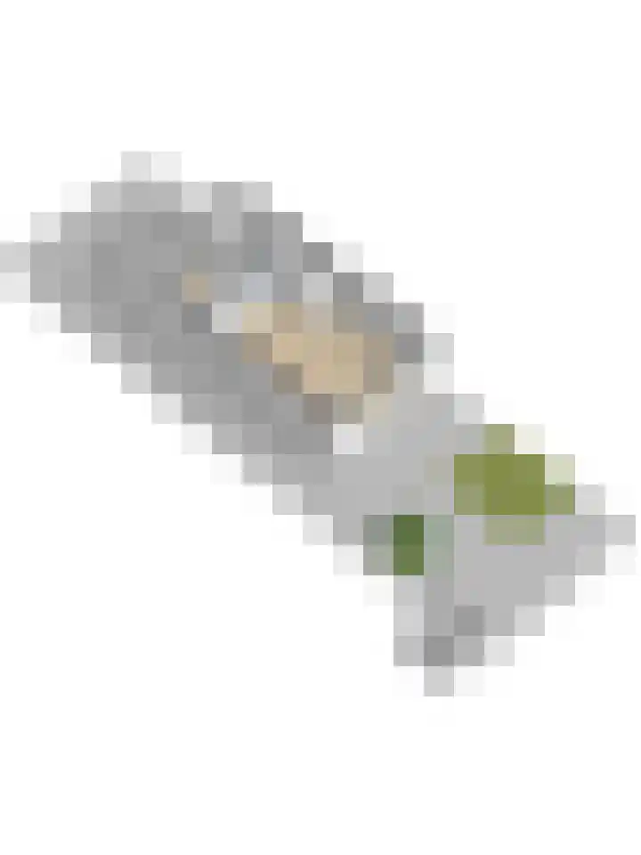 Akkerland 99 Assendelft thumbnail 5