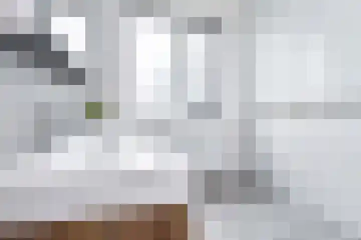 Akkerlanden 1 Pijnacker thumbnail 22