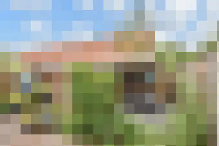 Akkerlanden 1 Pijnacker thumbnail 32