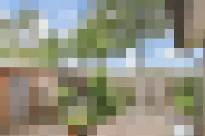 Akkerlanden 1 Pijnacker thumbnail 5
