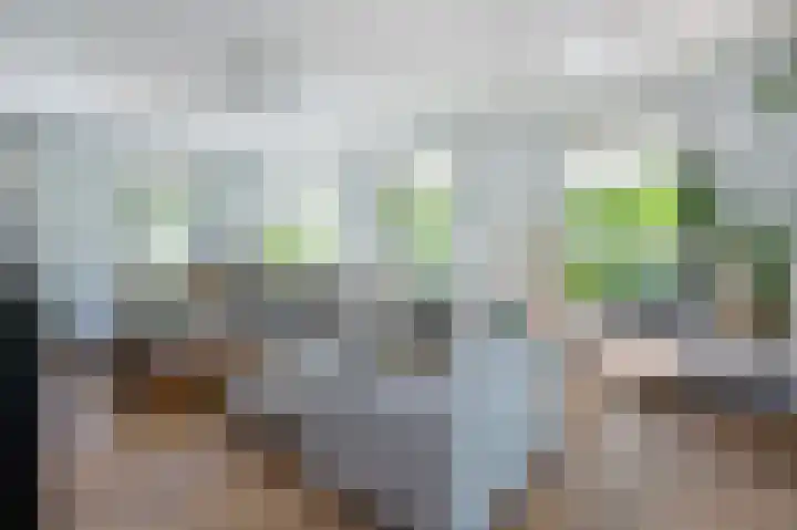 Akkerleeven 9 Dirksland thumbnail 12
