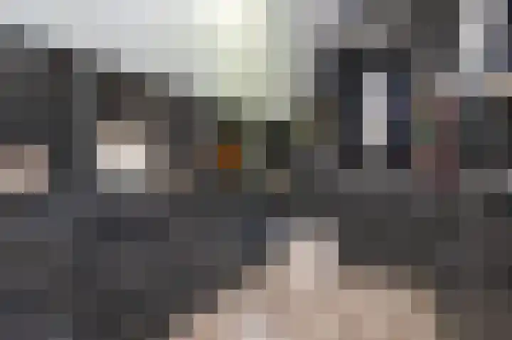 Akkerleeven 9 Dirksland thumbnail 29