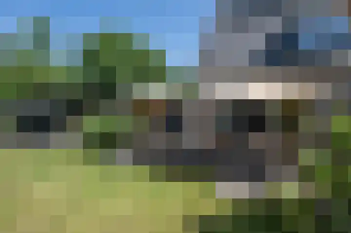 Akkerleeven 9 Dirksland thumbnail 43