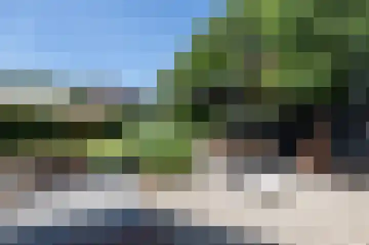 Akkerleeven 9 Dirksland thumbnail 44