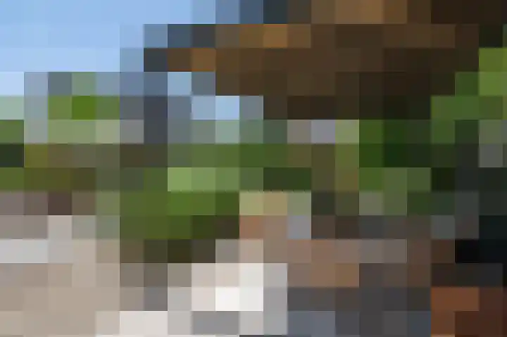 Akkerleeven 9 Dirksland thumbnail 46