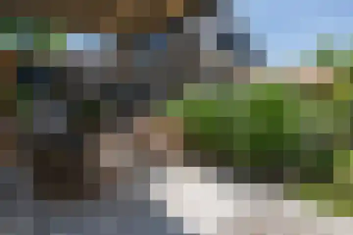 Akkerleeven 9 Dirksland thumbnail 47