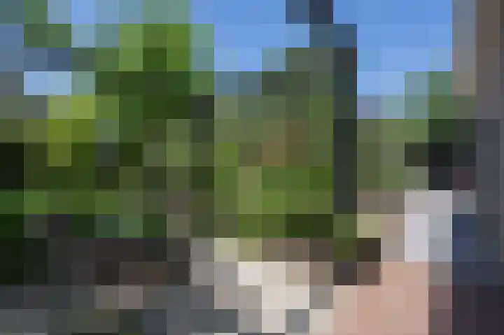 Akkerleeven 9 Dirksland thumbnail 48