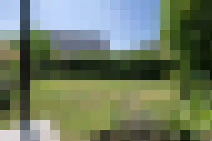 Akkerleeven 9 Dirksland thumbnail 50