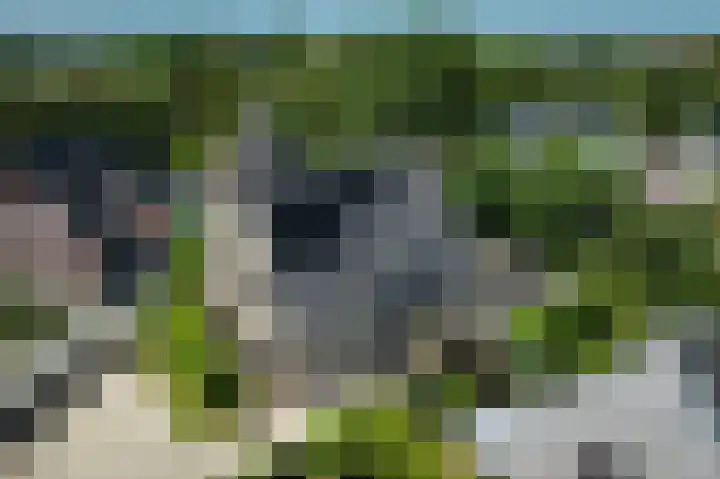 Akkerleeven 9 Dirksland thumbnail 51