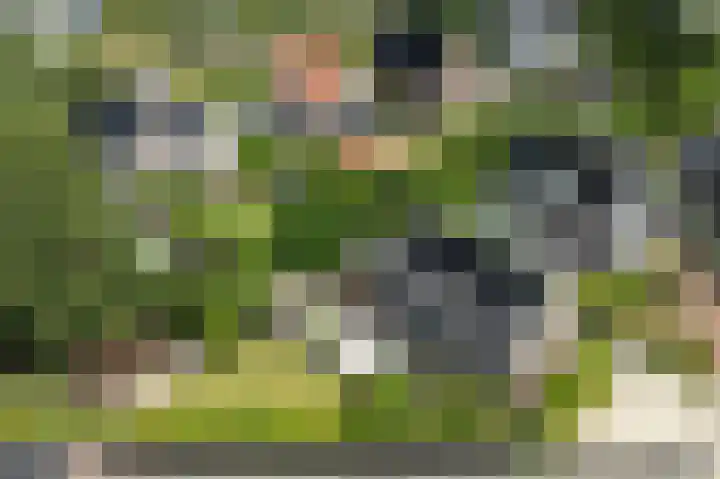 Akkerleeven 9 Dirksland thumbnail 53