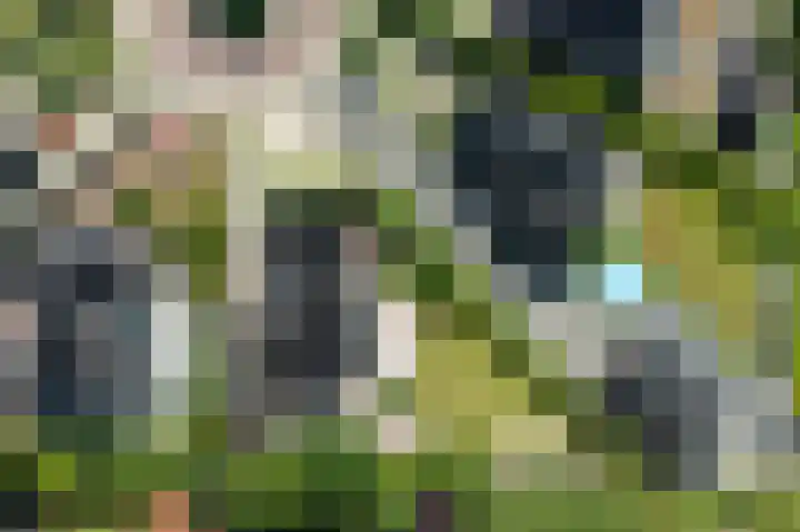 Akkerleeven 9 Dirksland thumbnail 54