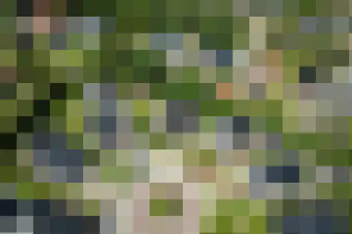 Akkerleeven 9 Dirksland thumbnail 56