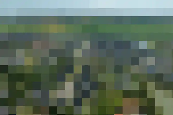 Akkerleeven 9 Dirksland thumbnail 57