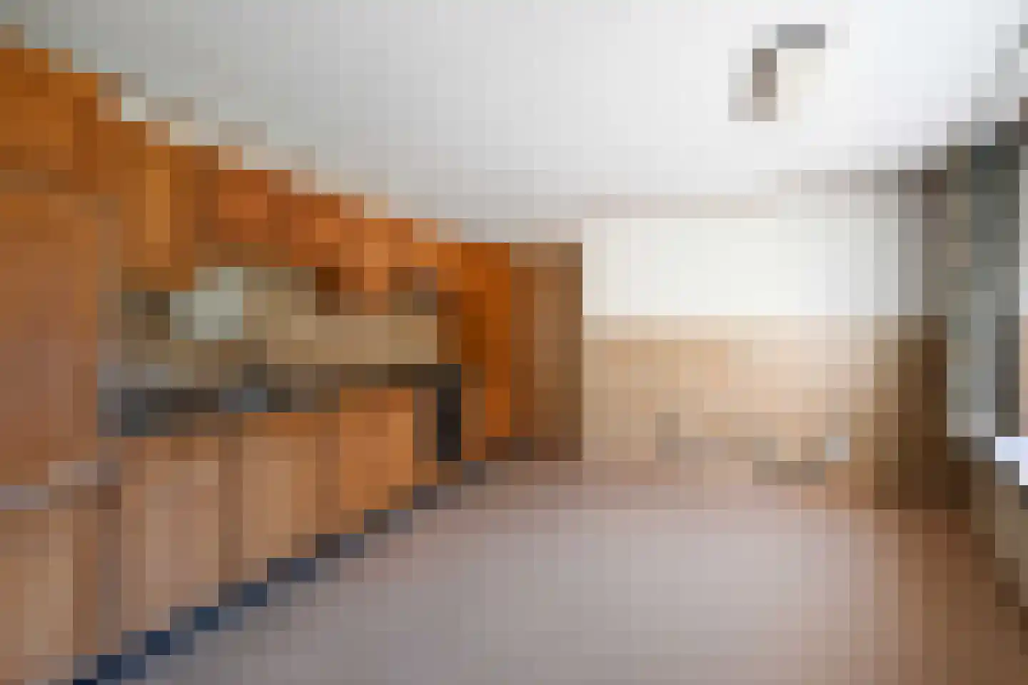 Akkerlingen 13 Hoeven thumbnail 23
