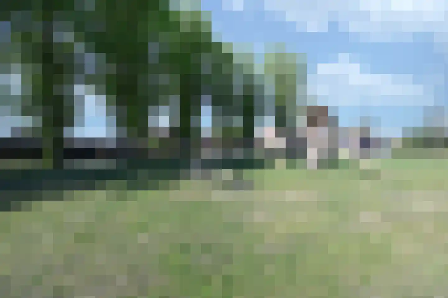 Akkerlingen 13 Hoeven thumbnail 6