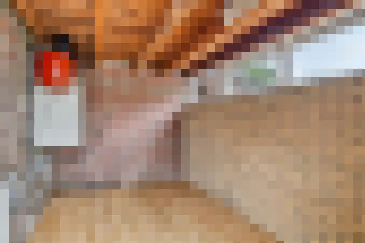 Akkerlingen 14 Hoeven thumbnail 25