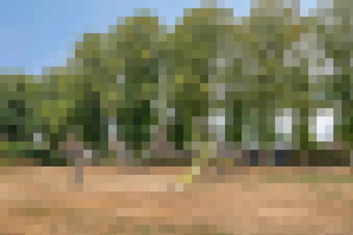 Akkerlingen 14 Hoeven thumbnail 36