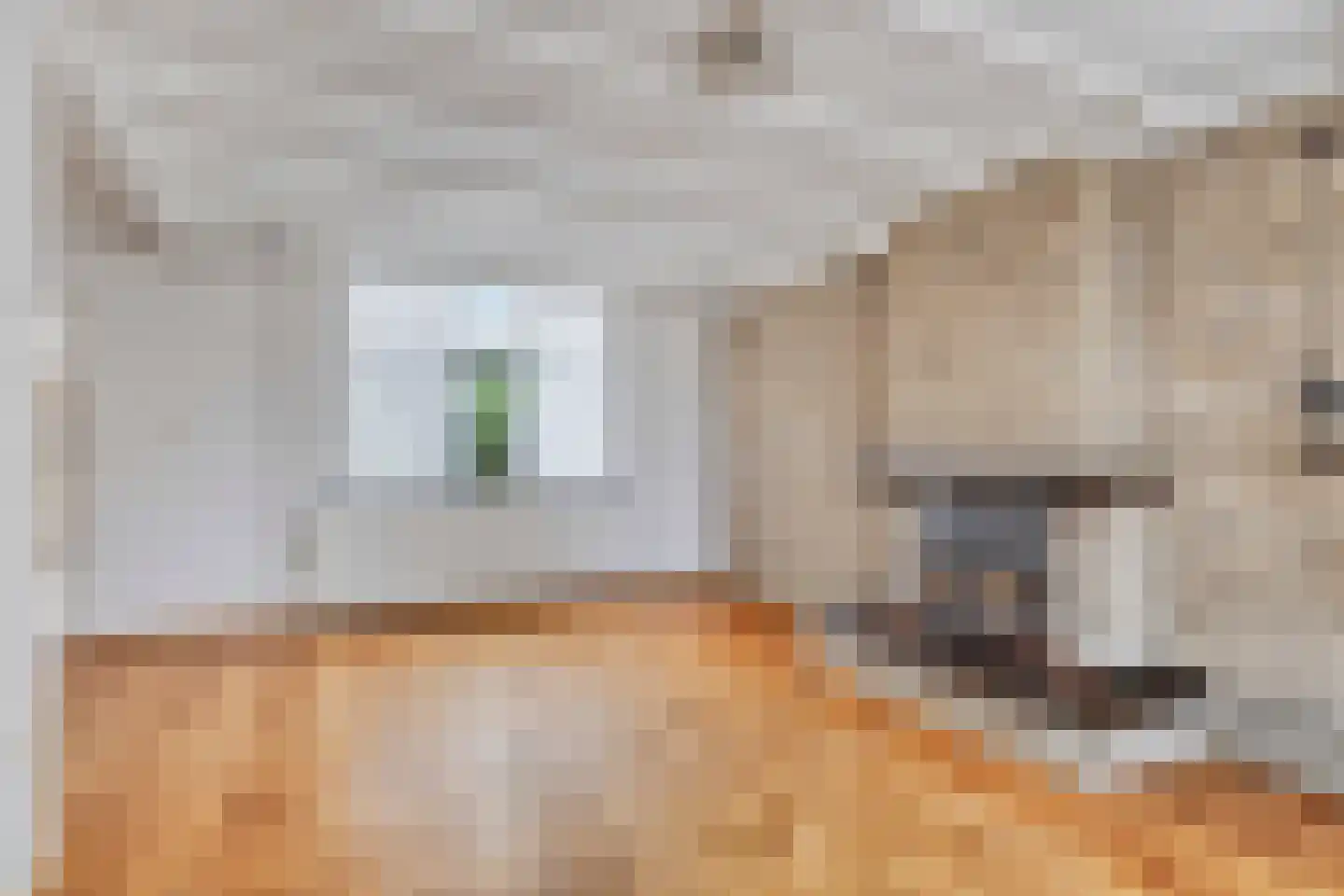 Akkerlingen 14 Hoeven thumbnail 8