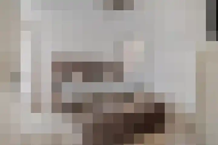 Akkerlingen 2 a Hoeven thumbnail 14