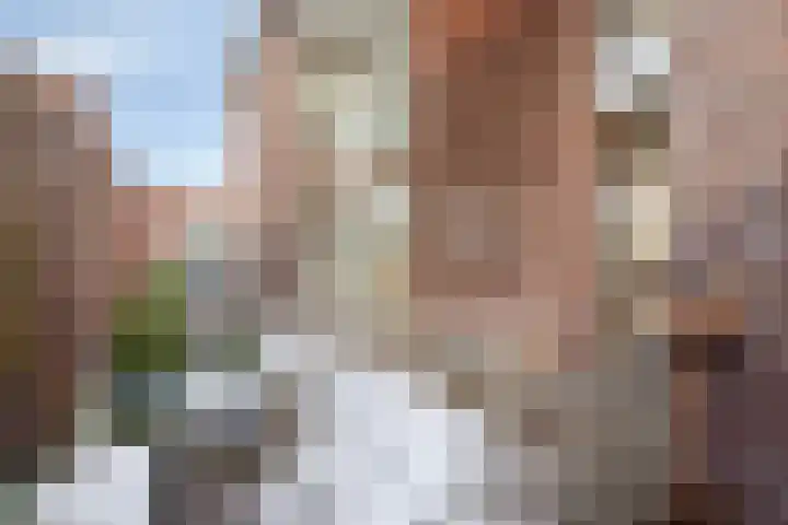 Akkerlingen 2 a Hoeven thumbnail 20