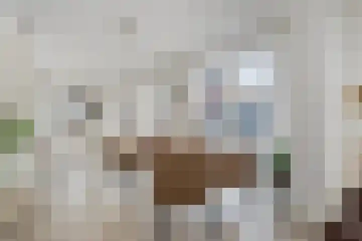 Akkerlingen 2 a Hoeven thumbnail 9