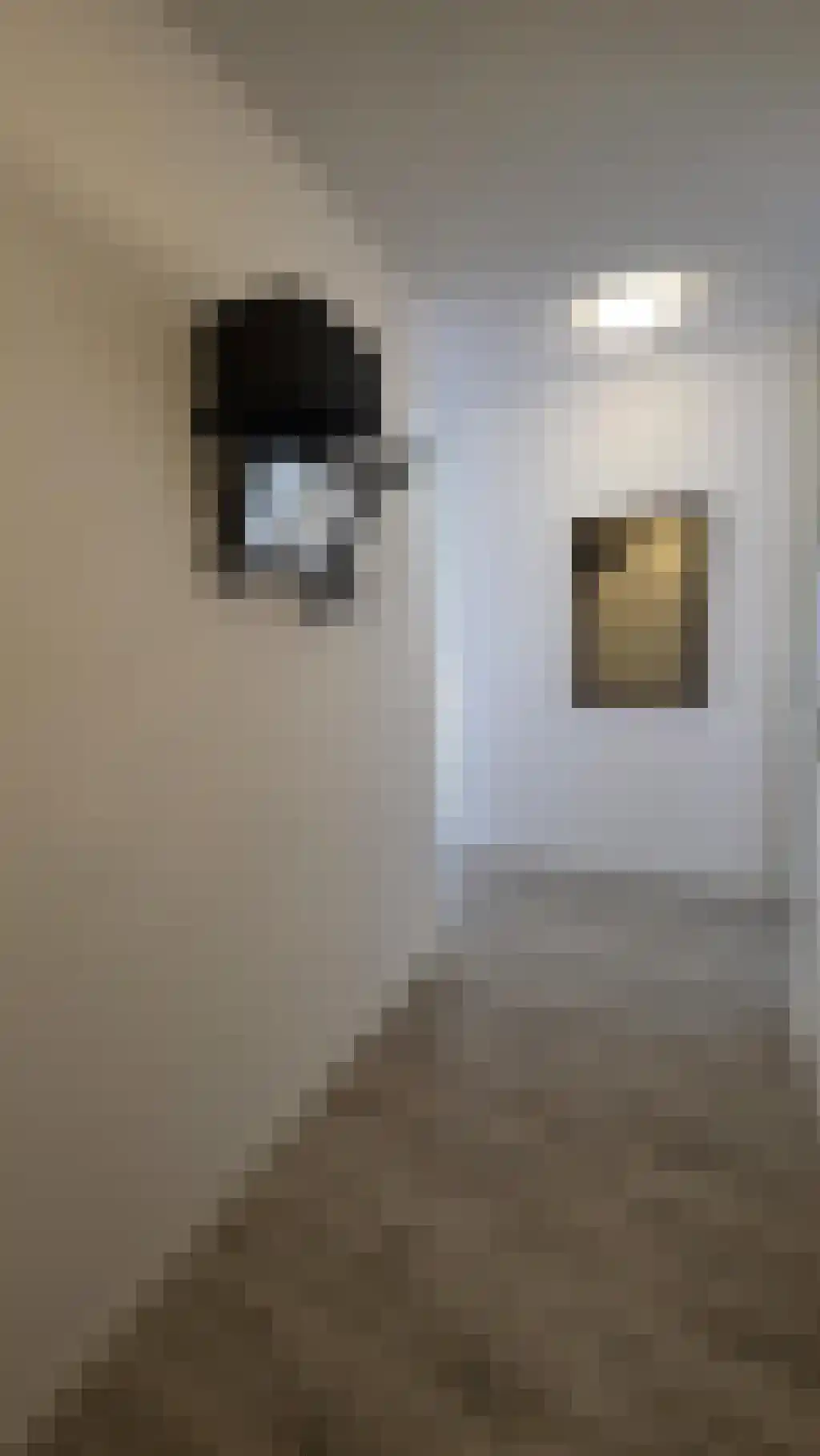 Akkerlingen 2 Hoeven thumbnail 4