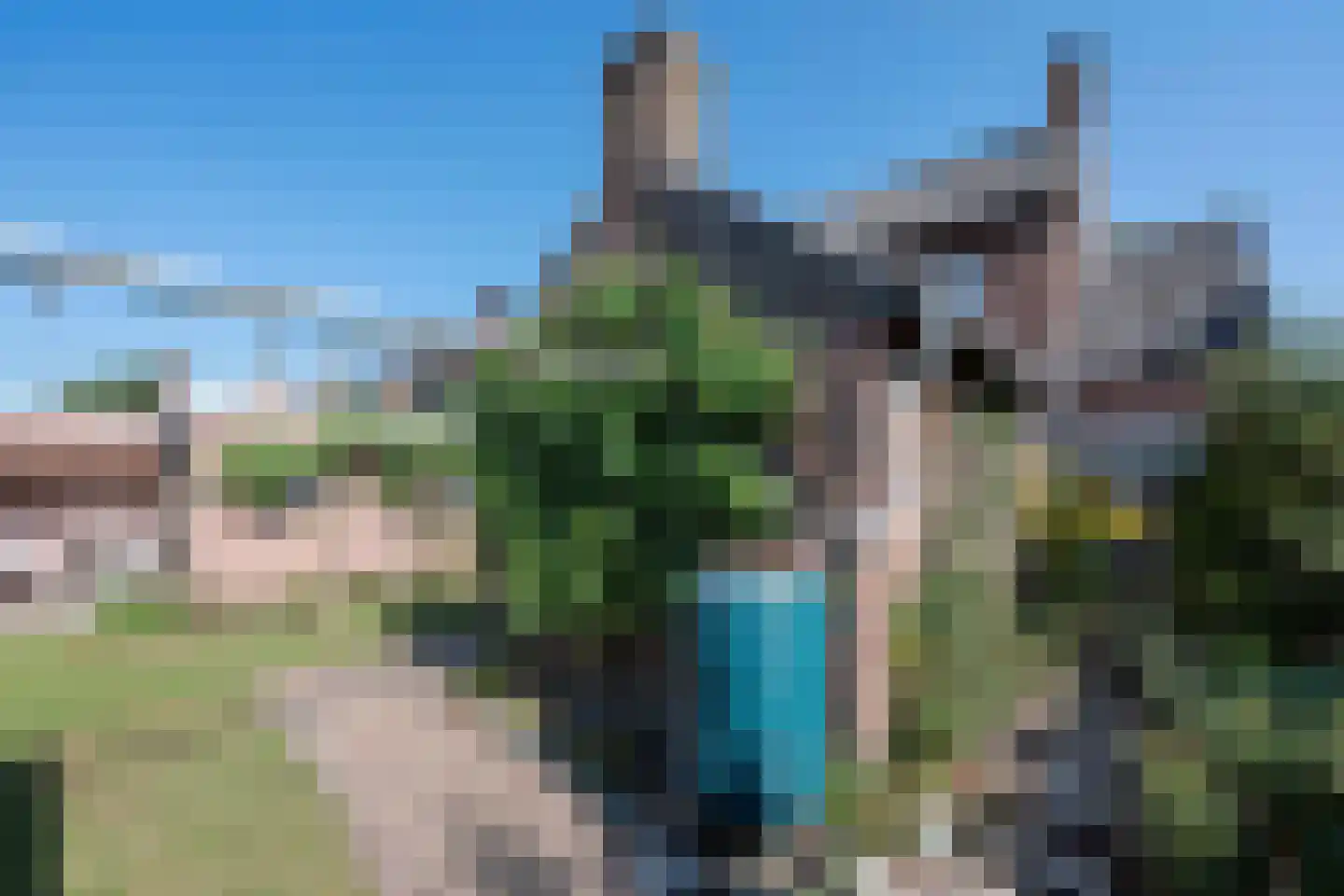 Akkerlingen 36 Hoeven thumbnail 26