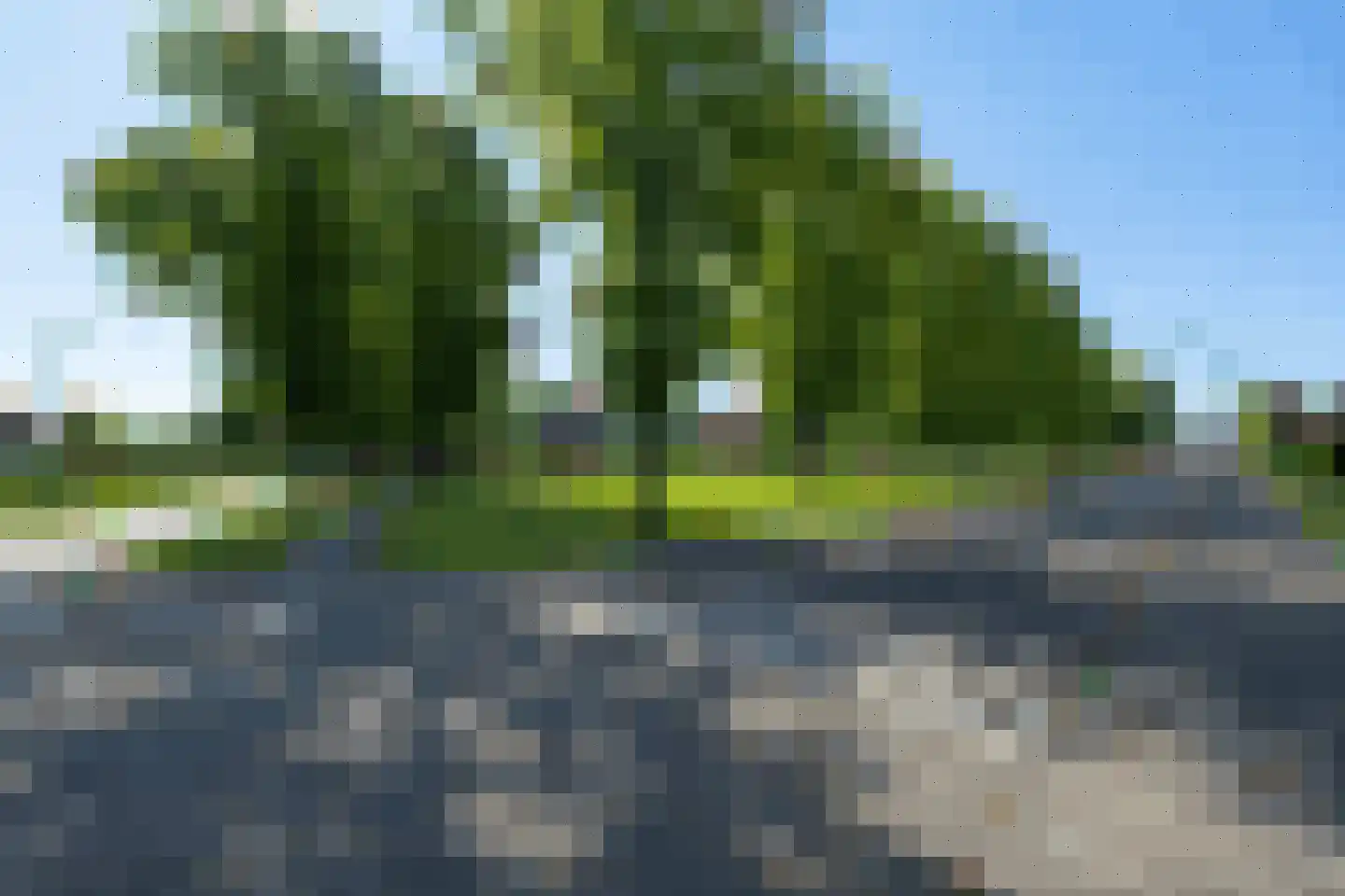 Akkerlingen 36 Hoeven thumbnail 4