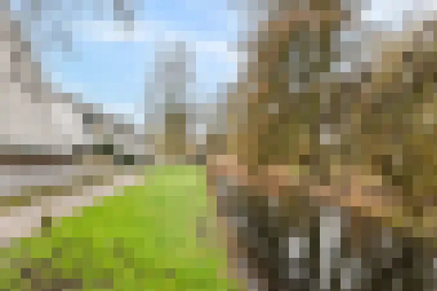Akkerlust 11 Gouda thumbnail 32