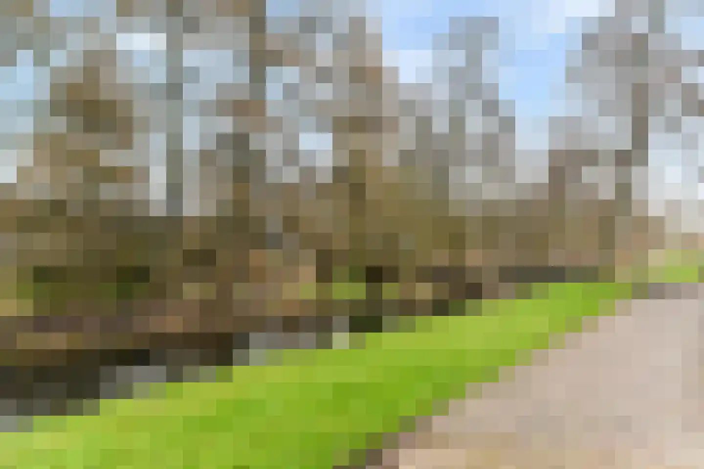 Akkerlust 11 Gouda thumbnail 34