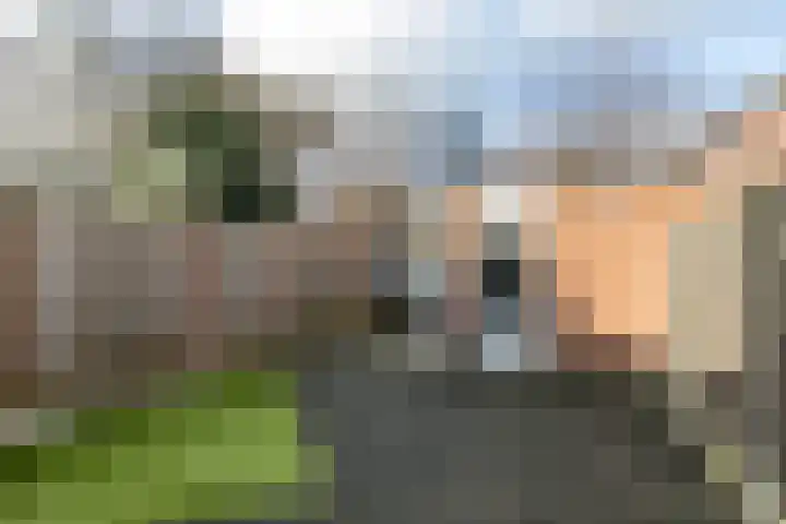 Akkermansdreef 6 Geleen thumbnail 21